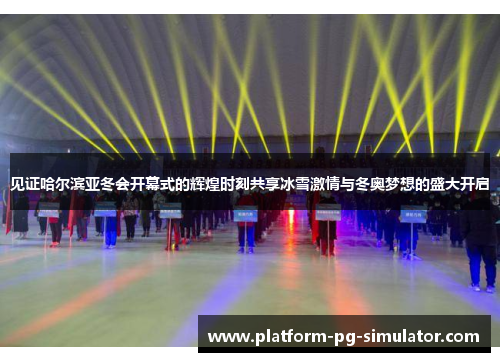 见证哈尔滨亚冬会开幕式的辉煌时刻共享冰雪激情与冬奥梦想的盛大开启 见证哈尔滨亚冬会开幕式的辉煌时刻共享冰雪激情与冬奥梦想的盛大开启