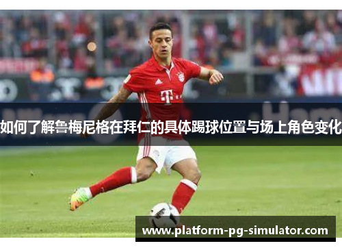 如何了解鲁梅尼格在拜仁的具体踢球位置与场上角色变化 如何了解鲁梅尼格在拜仁的具体踢球位置与场上角色变化