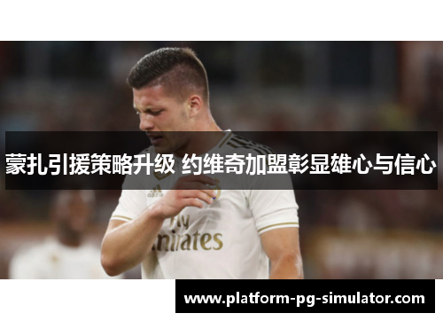 蒙扎引援策略升级 约维奇加盟彰显雄心与信心