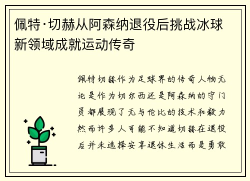 佩特·切赫从阿森纳退役后挑战冰球新领域成就运动传奇